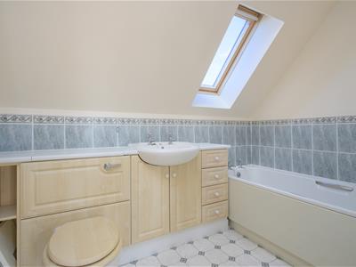 Picture 19